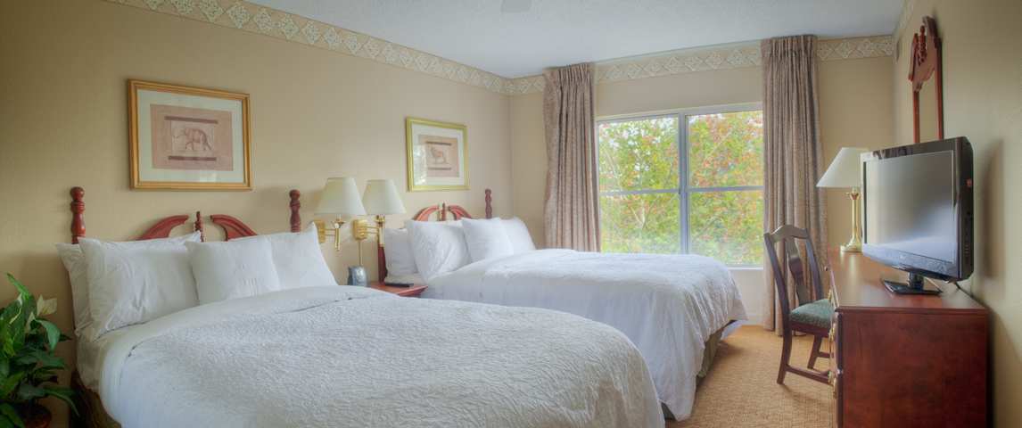 Homewood Suites By Hilton Charlotte Airport Room photo